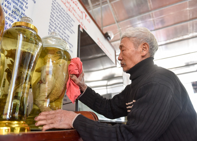 Elderly man devoted to rare chicken species, social news, vietnamnet bridge, english news, Vietnam news, news Vietnam, vietnamnet news, Vietnam net news, Vietnam latest news, vn news, Vietnam breaking news