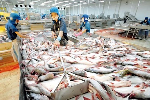 Pangasius fish export tops $1.75 billion, Lam Dong eyes more high-quality foreign investment, NFSC: Bad debts down to 9.5%, Technology ecosystem for restaurants introduced