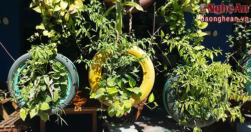 Nghe An man's tyre-made garden, social news, vietnamnet bridge, english news, Vietnam news, news Vietnam, vietnamnet news, Vietnam net news, Vietnam latest news, vn news, Vietnam breaking news