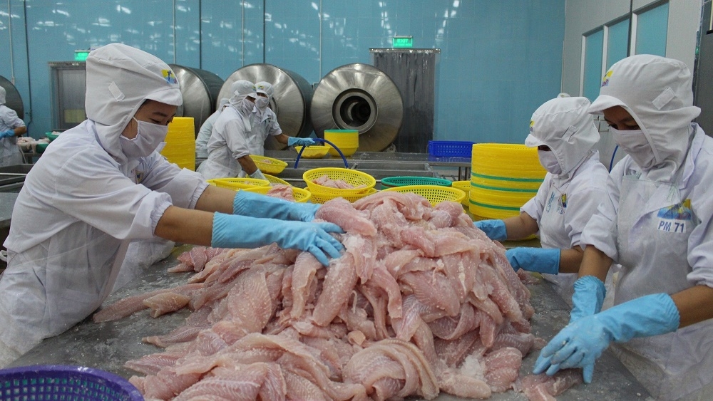 Vietnam files complaint to WTO about US anti-dumping duties on fish, vietnam economy, business news, vn news, vietnamnet bridge, english news, Vietnam news, news Vietnam, vietnamnet news, vn news, Vietnam net news, Vietnam latest news, Vietnam