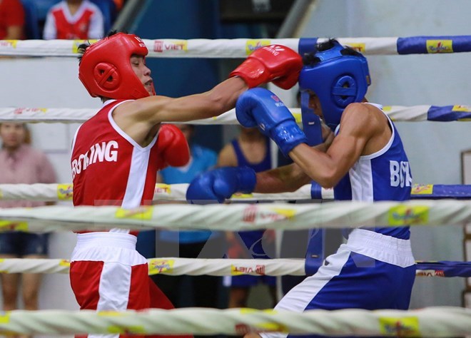 World Boxing Council champion to fight in Thailand, Sports news, football, Vietnam sports, vietnamnet bridge, english news, Vietnam news, news Vietnam, vietnamnet news, Vietnam net news, Vietnam latest news, vn news, Vietnam breaking news