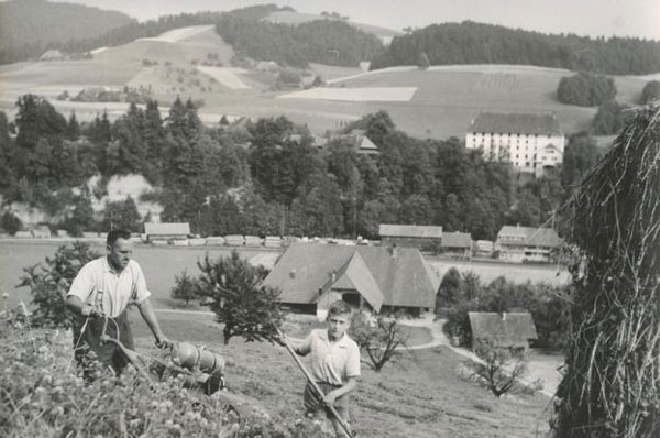 Swiss farmers, after Brexit, UK farmers post-Brexit, direct payments, selling products