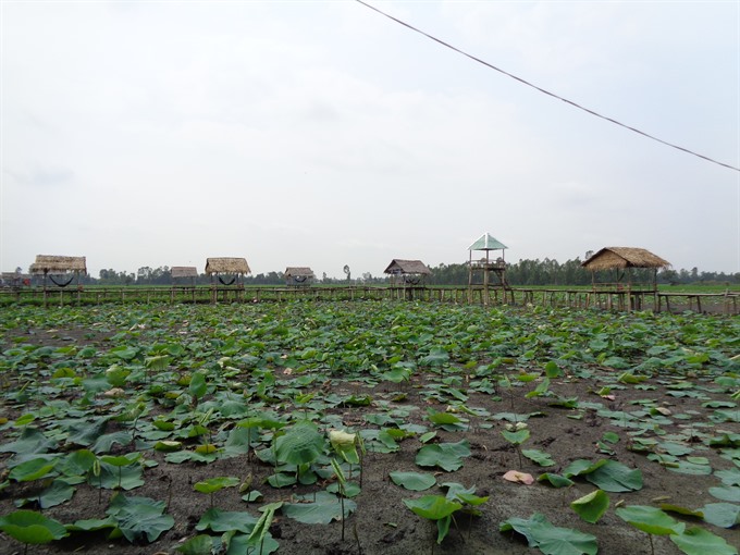 Mekong Delta seeks to improve water retention through flood-based livelihoods, Vietnam environment, climate change in Vietnam, Vietnam weather, Vietnam climate, pollution in Vietnam, environmental news, sci-tech news, vietnamnet bridge, english news, Viet