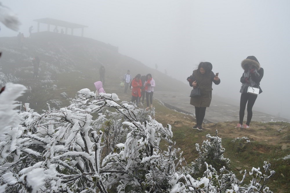 Frost covers Mau Son Mountain due to cold, social news, vietnamnet bridge, english news, Vietnam news, news Vietnam, vietnamnet news, Vietnam net news, Vietnam latest news, vn news, Vietnam breaking news