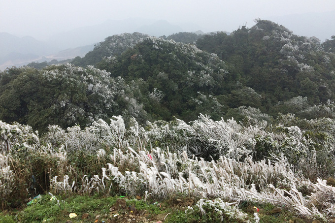 Frost covers Mau Son Mountain due to cold, social news, vietnamnet bridge, english news, Vietnam news, news Vietnam, vietnamnet news, Vietnam net news, Vietnam latest news, vn news, Vietnam breaking news