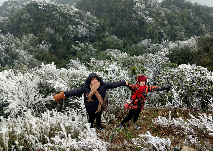 Frost covers Mau Son Mountain due to cold, social news, vietnamnet bridge, english news, Vietnam news, news Vietnam, vietnamnet news, Vietnam net news, Vietnam latest news, vn news, Vietnam breaking news