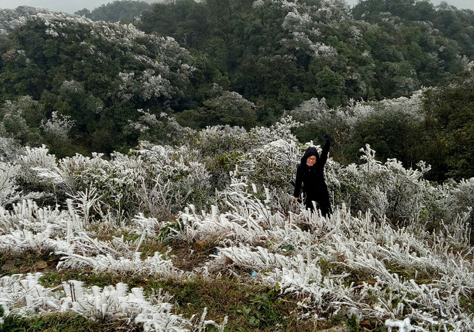 Frost covers Mau Son Mountain due to cold, social news, vietnamnet bridge, english news, Vietnam news, news Vietnam, vietnamnet news, Vietnam net news, Vietnam latest news, vn news, Vietnam breaking news