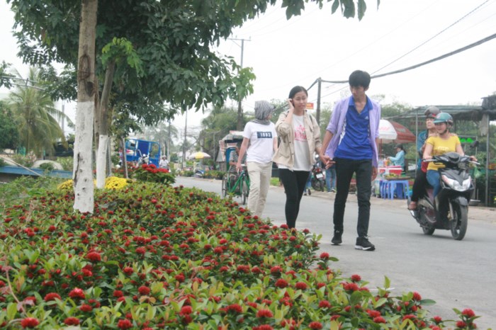 Sa Dec Flower Village in full bloom, travel news, Vietnam guide, Vietnam airlines, Vietnam tour, tour Vietnam, Hanoi, ho chi minh city, Saigon, travelling to Vietnam, Vietnam travelling, Vietnam travel, vn news