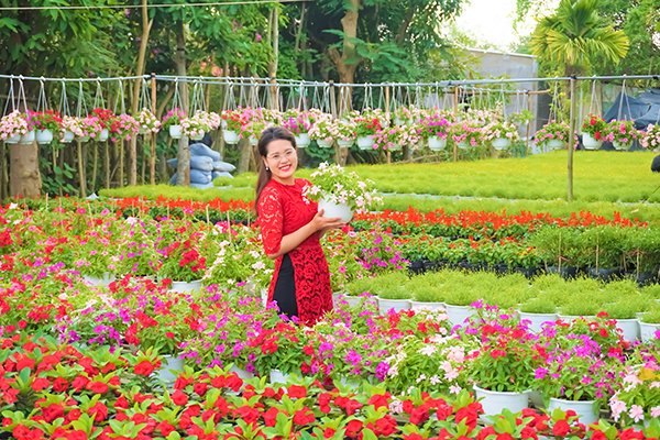 Sa Dec Flower Village in full bloom, travel news, Vietnam guide, Vietnam airlines, Vietnam tour, tour Vietnam, Hanoi, ho chi minh city, Saigon, travelling to Vietnam, Vietnam travelling, Vietnam travel, vn news