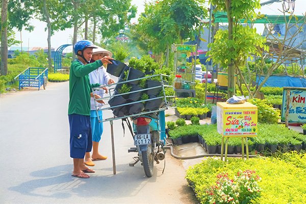 Sa Dec Flower Village in full bloom, travel news, Vietnam guide, Vietnam airlines, Vietnam tour, tour Vietnam, Hanoi, ho chi minh city, Saigon, travelling to Vietnam, Vietnam travelling, Vietnam travel, vn news