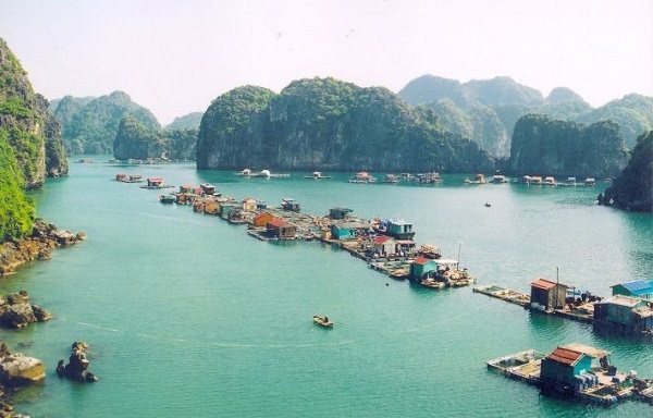 Cua Van fishing village an attractive destination in Ha Long Bay, travel news, Vietnam guide, Vietnam airlines, Vietnam tour, tour Vietnam, Hanoi, ho chi minh city, Saigon, travelling to Vietnam, Vietnam travelling, Vietnam travel, vn news