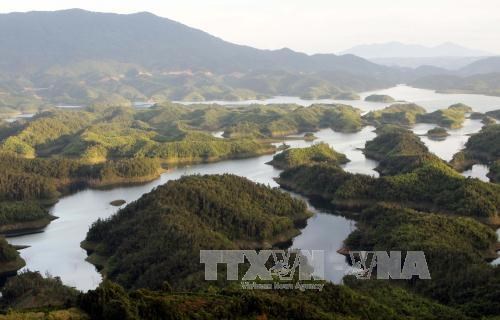 Ta Dung Nature Reserve becomes National Park, Vietnam environment, climate change in Vietnam, Vietnam weather, Vietnam climate, pollution in Vietnam, environmental news, sci-tech news, vietnamnet bridge, english news, Vietnam news, news Vietnam, vietnamne