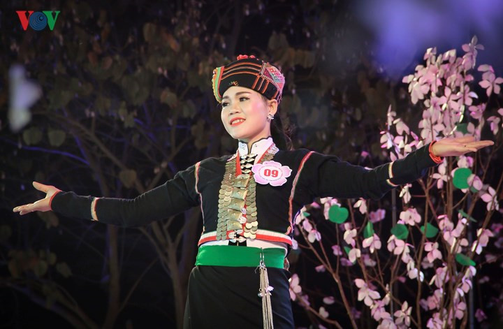 Ethnic costumes performed at Bauhinia Festival , entertainment events, entertainment news, entertainment activities, what’s on, Vietnam culture, Vietnam tradition, vn news, Vietnam beauty, news Vietnam, Vietnam news, Vietnam net news, vietnamnet news, vie