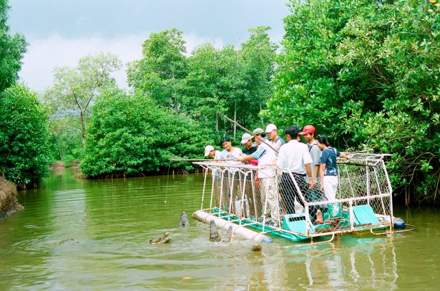 Exploring Vam Sat ecological tourist site in Can Gio, travel news, Vietnam guide, Vietnam airlines, Vietnam tour, tour Vietnam, Hanoi, ho chi minh city, Saigon, travelling to Vietnam, Vietnam travelling, Vietnam travel, vn news