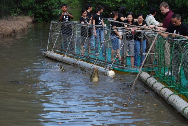 Exploring Vam Sat ecological tourist site in Can Gio, travel news, Vietnam guide, Vietnam airlines, Vietnam tour, tour Vietnam, Hanoi, ho chi minh city, Saigon, travelling to Vietnam, Vietnam travelling, Vietnam travel, vn news