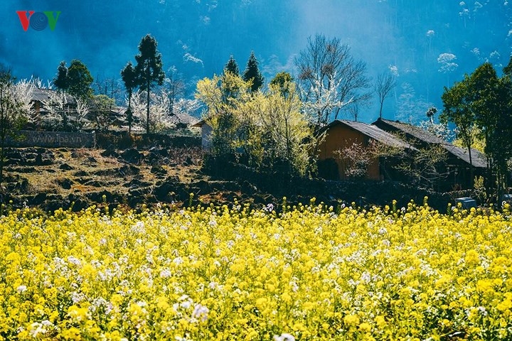 Spectacular views of Ha Giang Plateau, travel news, Vietnam guide, Vietnam airlines, Vietnam tour, tour Vietnam, Hanoi, ho chi minh city, Saigon, travelling to Vietnam, Vietnam travelling, Vietnam travel, vn news