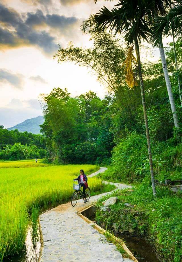 Finding peace in Loc Yen village, travel news, Vietnam guide, Vietnam airlines, Vietnam tour, tour Vietnam, Hanoi, ho chi minh city, Saigon, travelling to Vietnam, Vietnam travelling, Vietnam travel, vn news