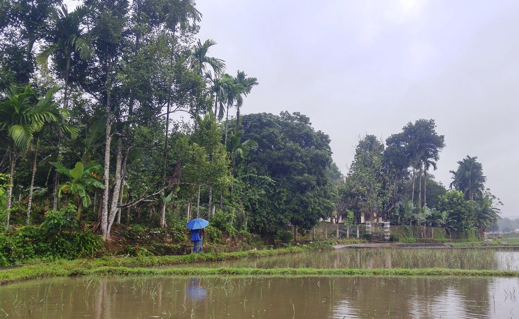 Finding peace in Loc Yen village, travel news, Vietnam guide, Vietnam airlines, Vietnam tour, tour Vietnam, Hanoi, ho chi minh city, Saigon, travelling to Vietnam, Vietnam travelling, Vietnam travel, vn news