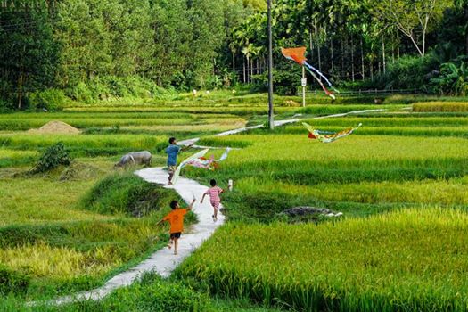 Finding peace in Loc Yen village, travel news, Vietnam guide, Vietnam airlines, Vietnam tour, tour Vietnam, Hanoi, ho chi minh city, Saigon, travelling to Vietnam, Vietnam travelling, Vietnam travel, vn news