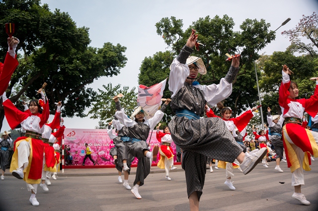 Cherry blossoms in full bloom at Hanoi’s Japanese festival, entertainment events, entertainment news, entertainment activities, what’s on, Vietnam culture, Vietnam tradition, vn news, Vietnam beauty, news Vietnam, Vietnam news, Vietnam net news, vietnamne