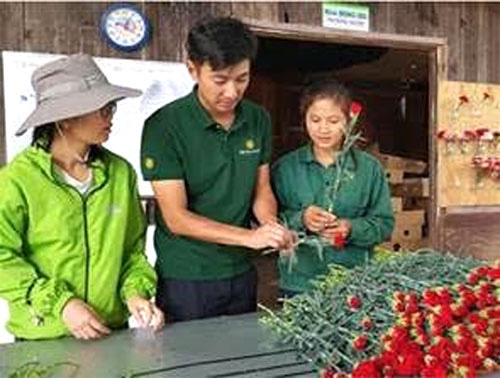 Da Lat, flower farm, flower exports, Vietnam economy, Vietnamnet bridge, English news about Vietnam, Vietnam news, news about Vietnam, English news, Vietnamnet news, latest news on Vietnam, Vietnam