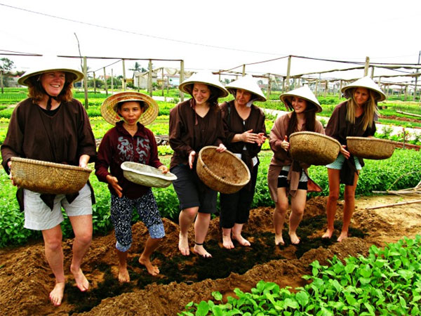 Farming-focused tourism, community-based tourism, Vietnam economy, Vietnamnet bridge, English news about Vietnam, Vietnam news, news about Vietnam, English news, Vietnamnet news, latest news on Vietnam, Vietnam