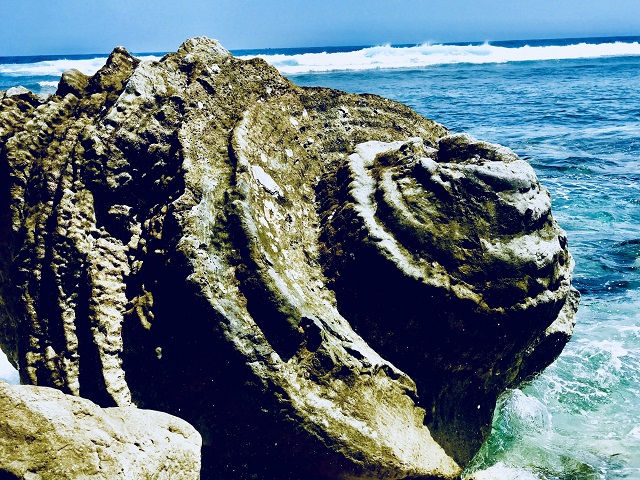 Unique five-thousand year old fossil reef found in Vietnam, entertainment events, entertainment news, entertainment activities, what’s on, Vietnam culture, Vietnam tradition, vn news, Vietnam beauty, news Vietnam, Vietnam news, Vietnam net news, vietnamne