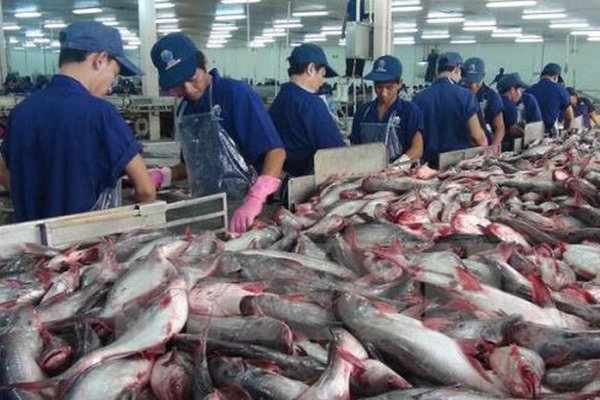 vietnam economy, business news, vn news, vietnamnet bridge, english news, Vietnam news, news Vietnam, vietnamnet news, vn news, Vietnam net news, Vietnam latest news, Vietnam breaking news, catfish, VASEP, anti-dumping duties