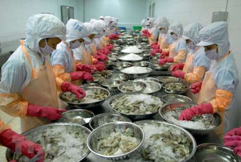 Shrimp exports see bright prospect this year, Foreign investors eyeing notorious Chu Lai Soda processing plant, Savills says Vietnam youth is easier for housing affordability, Da Nang High-Tech Park tries to attract more investment