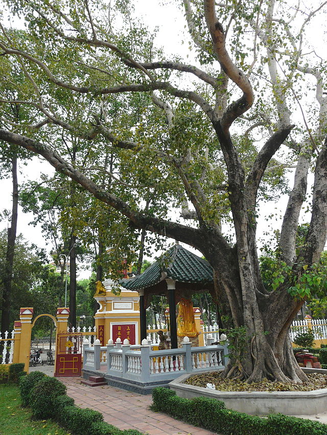 Giac Lam pagoda – a destination in HCM City, travel news, Vietnam guide, Vietnam airlines, Vietnam tour, tour Vietnam, Hanoi, ho chi minh city, Saigon, travelling to Vietnam, Vietnam travelling, Vietnam travel, vn news