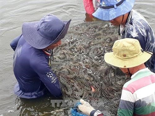 Vietnam, RoK intensify environmental cooperation, Can Tho wishes to boost cooperation with France, Tuyen Quang: over 116 billion VND allocated to ethnic minorities, Japanese firms, Vietnamese students join exchange