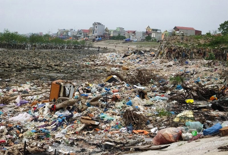 Thanh Hoa coastal forest swamped by rubbish, Vietnam environment, climate change in Vietnam, Vietnam weather, Vietnam climate, pollution in Vietnam, environmental news, sci-tech news, vietnamnet bridge, english news, Vietnam news, news Vietnam, vietnamnet
