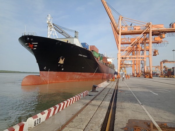 Hai Phong port welcomes largest ever container ship, HCM City summit talks social enterprises, Vietnam firms advised to invest in Indian garment market, Pig farms disappearing