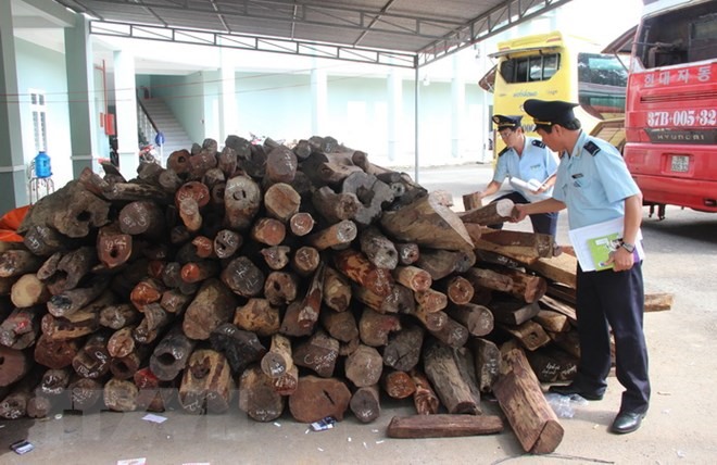 Indie band launches music movie, Vietnamese, Lao provinces enhance medical cooperation, Quang Nam seized 2 tonnes smuggled timber, Alternative education approaches proving popular