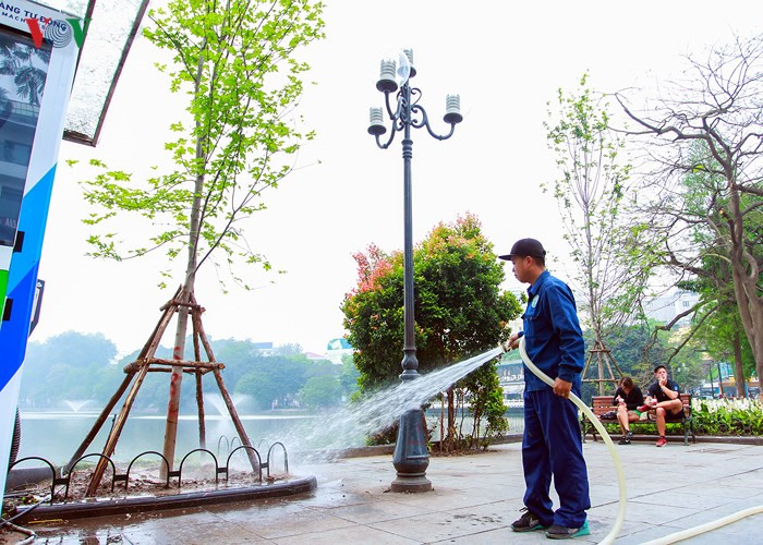 Hanoi plants red maple trees around Hoan Kiem Lake, social news, vietnamnet bridge, english news, Vietnam news, news Vietnam, vietnamnet news, Vietnam net news, Vietnam latest news, vn news, Vietnam breaking news