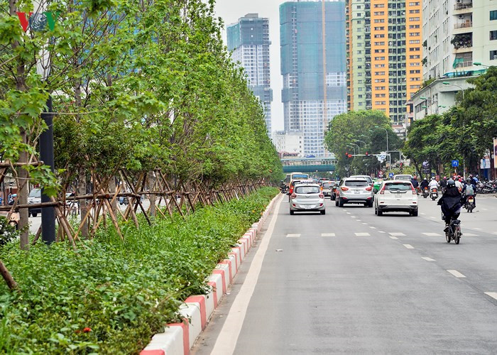 Hanoi plants red maple trees around Hoan Kiem Lake, social news, vietnamnet bridge, english news, Vietnam news, news Vietnam, vietnamnet news, Vietnam net news, Vietnam latest news, vn news, Vietnam breaking news