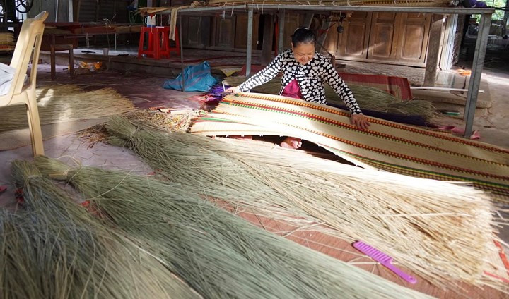 A visit to Dinh Yen sedge mat craft village in Dong Thap, travel news, Vietnam guide, Vietnam airlines, Vietnam tour, tour Vietnam, Hanoi, ho chi minh city, Saigon, travelling to Vietnam, Vietnam travelling, Vietnam travel, vn news