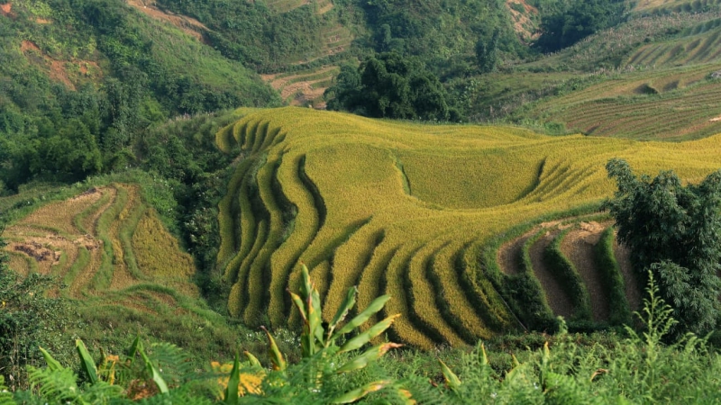 Vietnam's top destinations featured on CNN’s photo tour, travel news, Vietnam guide, Vietnam airlines, Vietnam tour, tour Vietnam, Hanoi, ho chi minh city, Saigon, travelling to Vietnam, Vietnam travelling, Vietnam travel, vn news