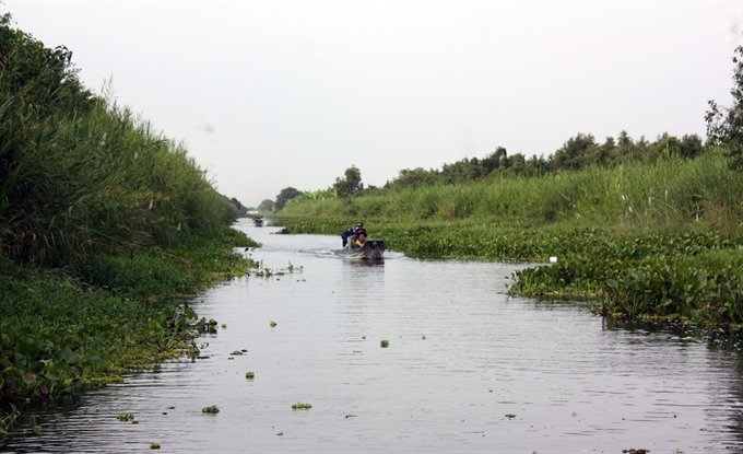 Measures taken to preserve biodiversity in U Minh Thuong National Park, Vietnam environment, climate change in Vietnam, Vietnam weather, Vietnam climate, pollution in Vietnam, environmental news, sci-tech news, vietnamnet bridge, english news, Vietnam new