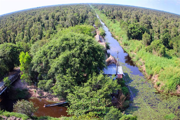 U Minh National Park, Vietnam economy, Vietnamnet bridge, English news about Vietnam, Vietnam news, news about Vietnam, English news, Vietnamnet news, latest news on Vietnam, Vietnam