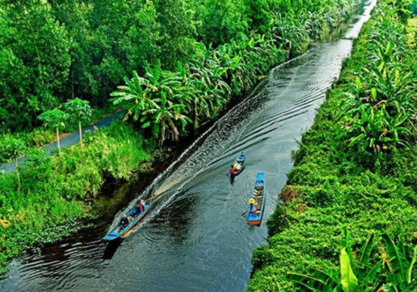 U Minh National Park, Vietnam economy, Vietnamnet bridge, English news about Vietnam, Vietnam news, news about Vietnam, English news, Vietnamnet news, latest news on Vietnam, Vietnam