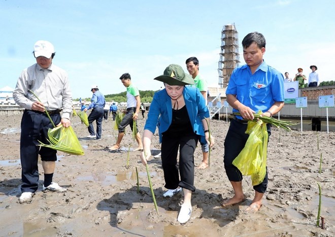 Trial held for former Dai Tin Bank leaders, Asian innovators collaborate to boost social projects, Japan helps improve flight control at Phu Quoc intâ€™l airport, Trees planted at national trig point in Ca Mau