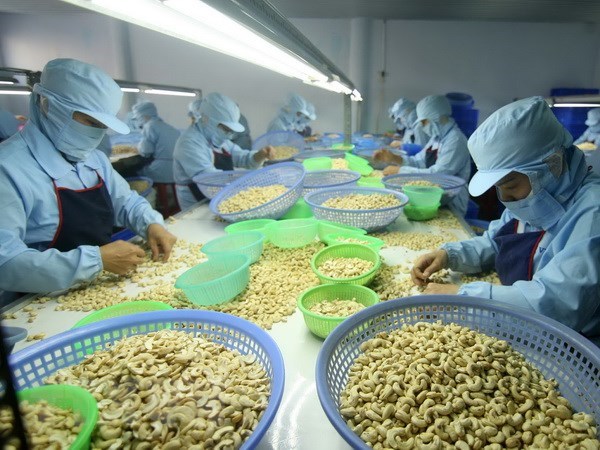 Advanced technology crucial to improve cashew output, Purchasing power soars by 8.5 percent, ACV targets over 5.6 trillion VND in 2018 profit, Top Thai Brands 2018 to open in Ho Chi Minh City