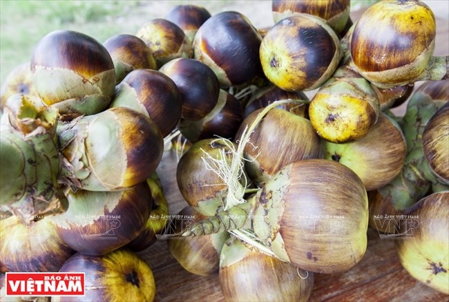 Palm-sugar, a specialty of An Giang, travel news, Vietnam guide, Vietnam airlines, Vietnam tour, tour Vietnam, Hanoi, ho chi minh city, Saigon, travelling to Vietnam, Vietnam travelling, Vietnam travel, vn news