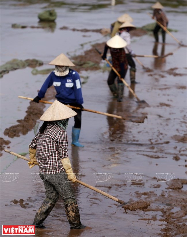 Villages on the sea, Tien Hai, Thai Binh, fishing village, travel news, Vietnam guide, Vietnam airlines, Vietnam tour, tour Vietnam, Hanoi, ho chi minh city, Saigon, travelling to Vietnam, Vietnam travelling, Vietnam travel, vn news