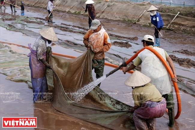 Villages on the sea, Tien Hai, Thai Binh, fishing village, travel news, Vietnam guide, Vietnam airlines, Vietnam tour, tour Vietnam, Hanoi, ho chi minh city, Saigon, travelling to Vietnam, Vietnam travelling, Vietnam travel, vn news