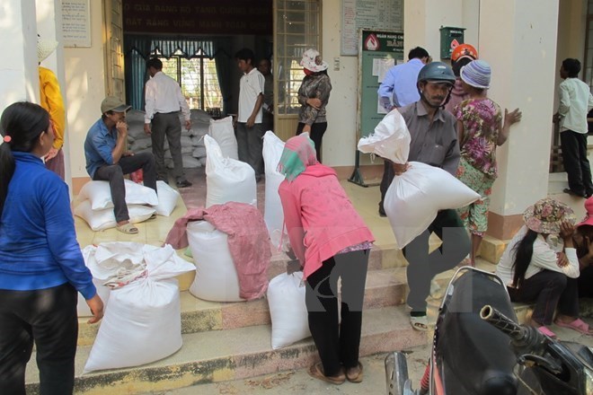 Almost 536 tonnes of rice offered to northern Ha Giang province, Lord Buddha’s birthday celebrated abroad, Tien Giang province breeds more tra fish on alluvial areas