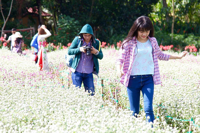 Visitors buzz around Tien Giang flower garden, travel news, Vietnam guide, Vietnam airlines, Vietnam tour, tour Vietnam, Hanoi, ho chi minh city, Saigon, travelling to Vietnam, Vietnam travelling, Vietnam travel, vn news