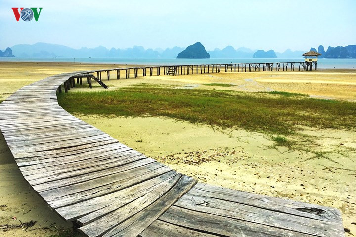 Unspoiled charms of deserted beaches in Quang Ninh, travel news, Vietnam guide, Vietnam airlines, Vietnam tour, tour Vietnam, Hanoi, ho chi minh city, Saigon, travelling to Vietnam, Vietnam travelling, Vietnam travel, vn news