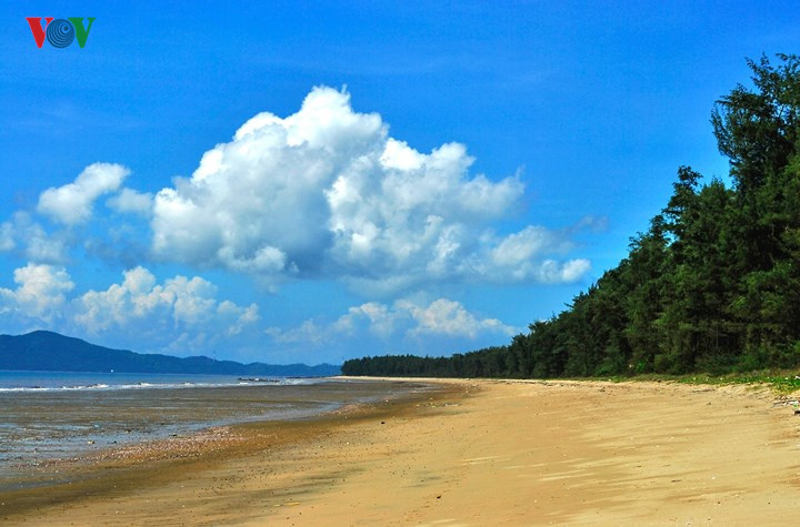 Unspoiled charms of deserted beaches in Quang Ninh, travel news, Vietnam guide, Vietnam airlines, Vietnam tour, tour Vietnam, Hanoi, ho chi minh city, Saigon, travelling to Vietnam, Vietnam travelling, Vietnam travel, vn news